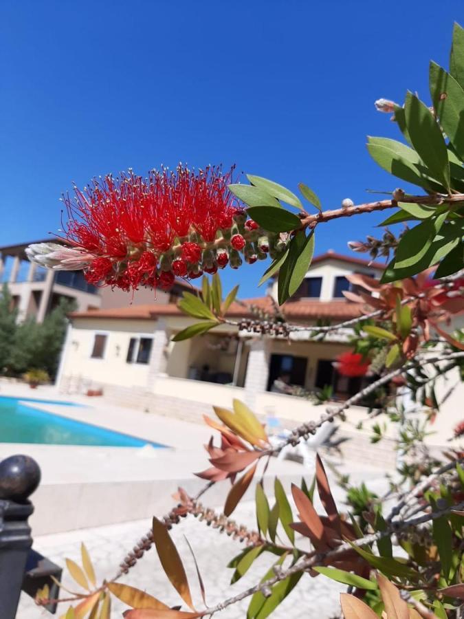 Nice, Cosy Studio Apartment With Shared Outdoor Pool بنجول المظهر الخارجي الصورة
